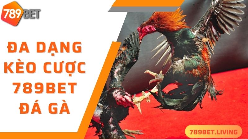 Đa dạng các thể loại kèo cược đá gà 789BET